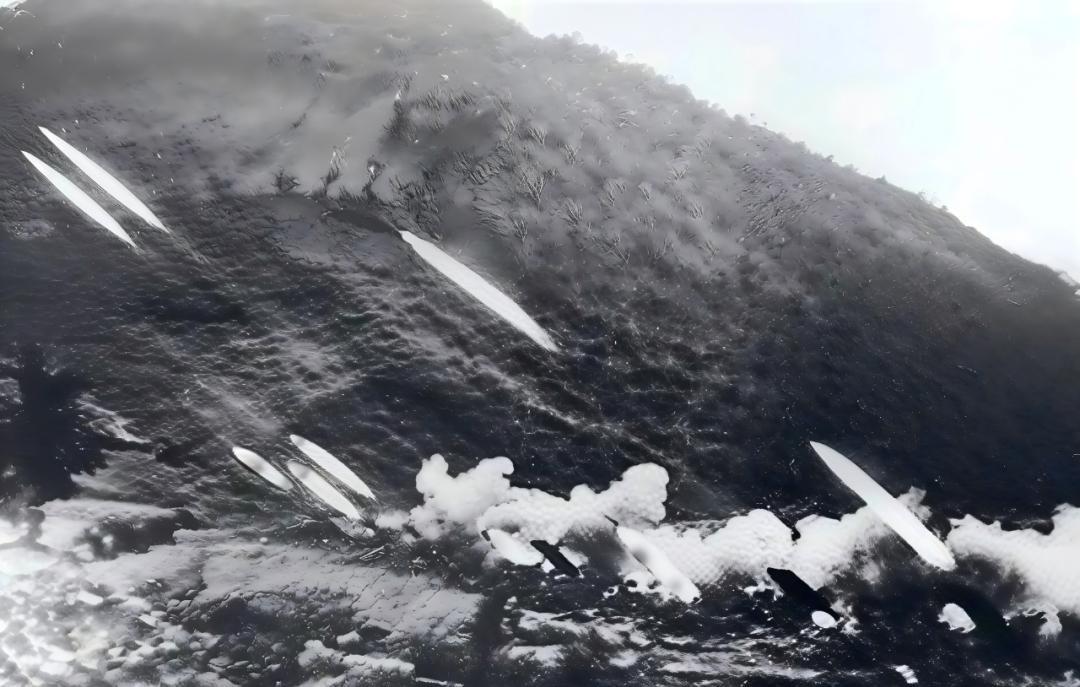 1979年对越自卫反击战，昆明军区第11军原本是个守边防的简编部队。开战前临时扩