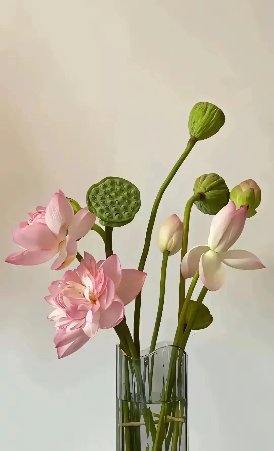 其实所谓的郭粉再折腾也没有用，现在的辽篮就是杨鸣和继伟的辽篮！这是现实！折腾了