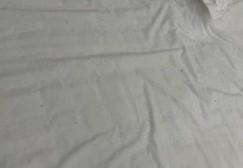 “退款可以驱虫？”7月26日，内蒙古一大哥住酒店，半夜掀被窝直接跟小黑虫们来了个