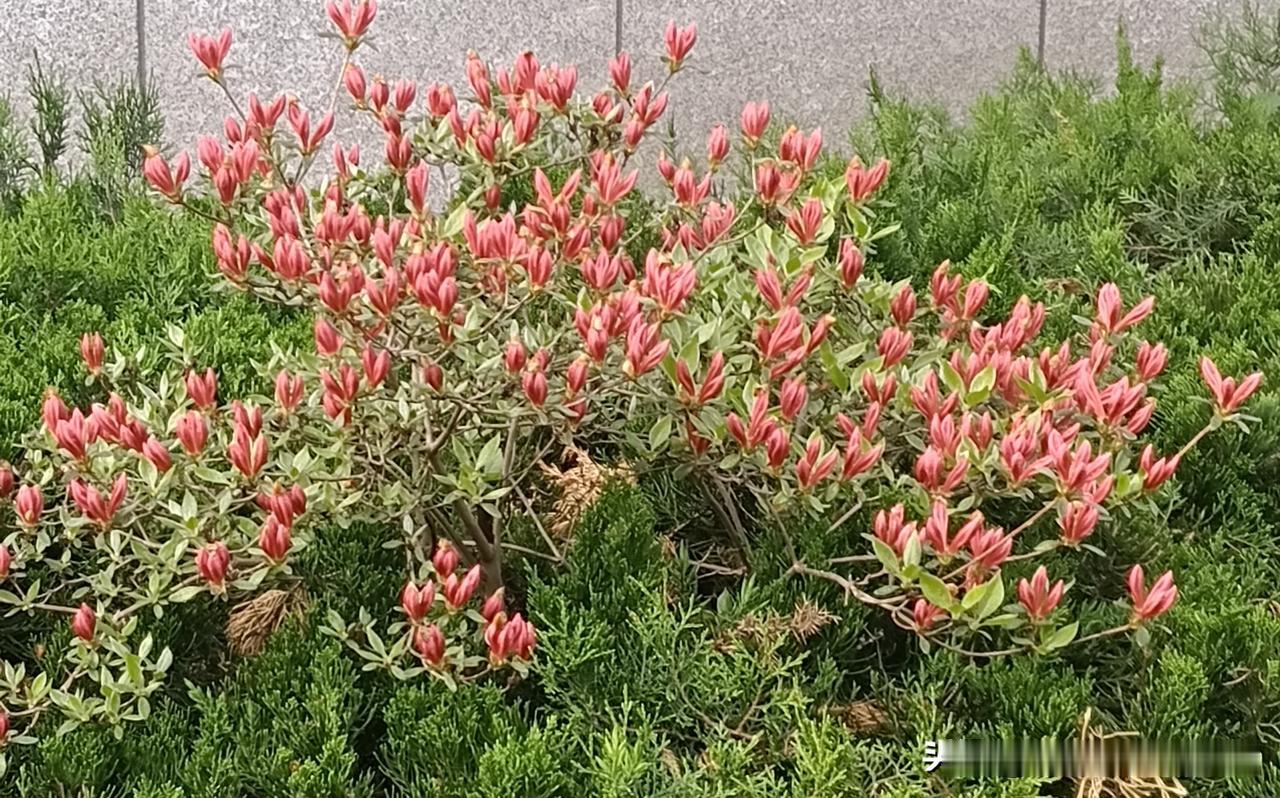 60岁以后才领悟，兄弟姐妹之间，最佳的相处方式并非聚会，也非帮忙，而是这3个字