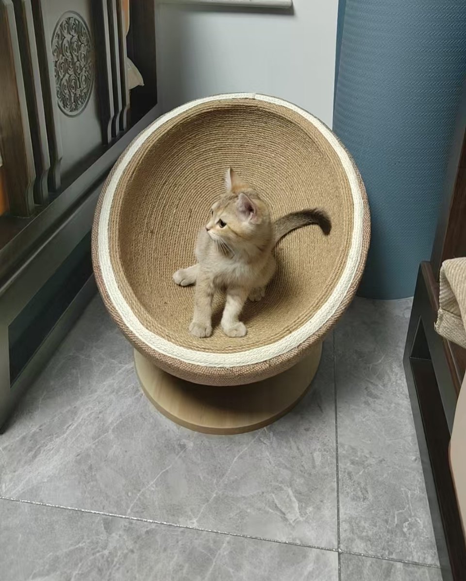咪の新窝窝​​​