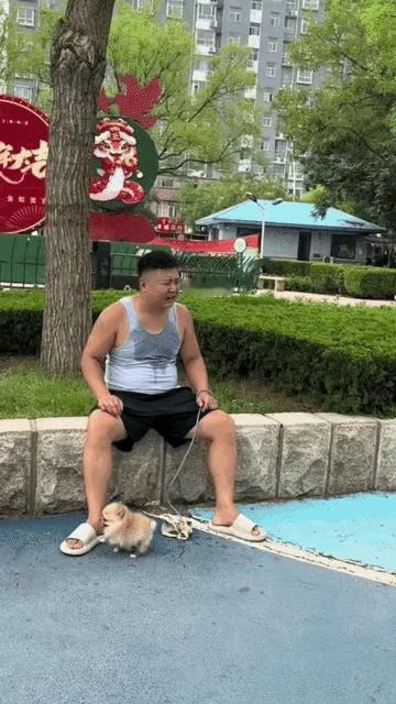 大哥你这样做，小狗同意了吗？