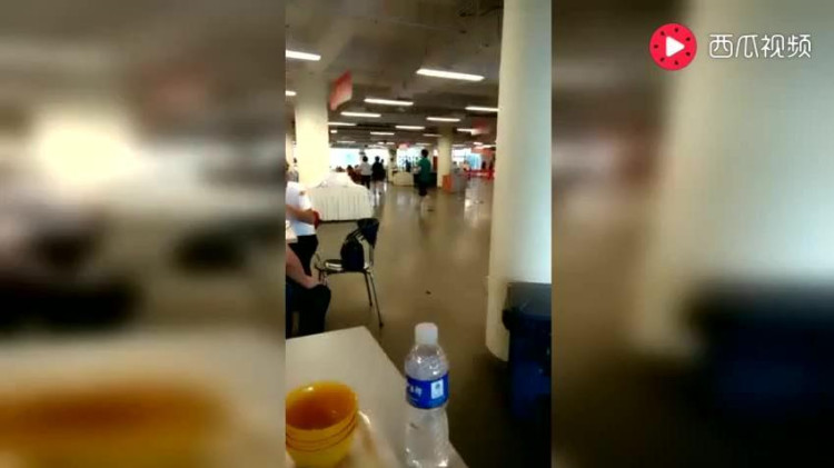 笑晕了，阿里巴巴员工食堂，听说马云也吃得一样