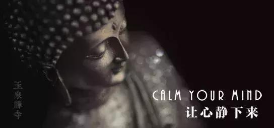 道伟法师: 生命的意义就在于觉醒