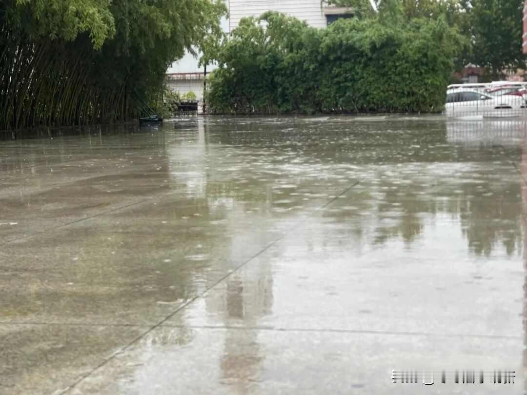 济南泉水疯涨，秋雨不歇反成灾，谁在背后推波助澜？10月9号，趵突泉水位涨到2