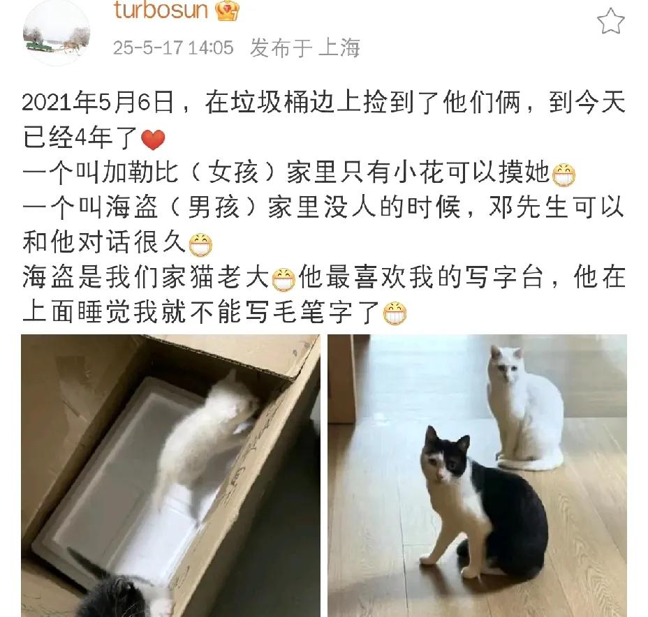 孙俪，高调发文！5月17日下午，一向低调的孙俪突然高调发文，罕见分享与两只爱