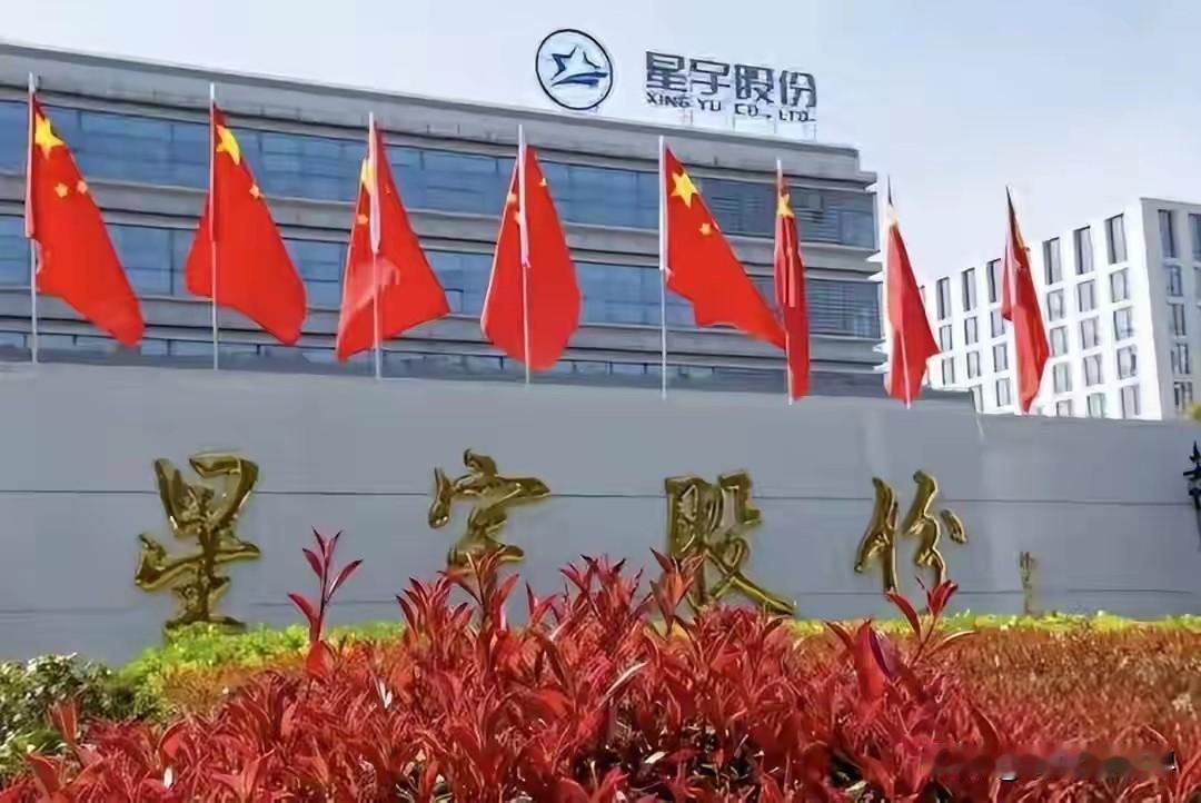 常州星宇科技事件将带来三个积极影响！一是今后其他企业不敢这么玩了，这次事件