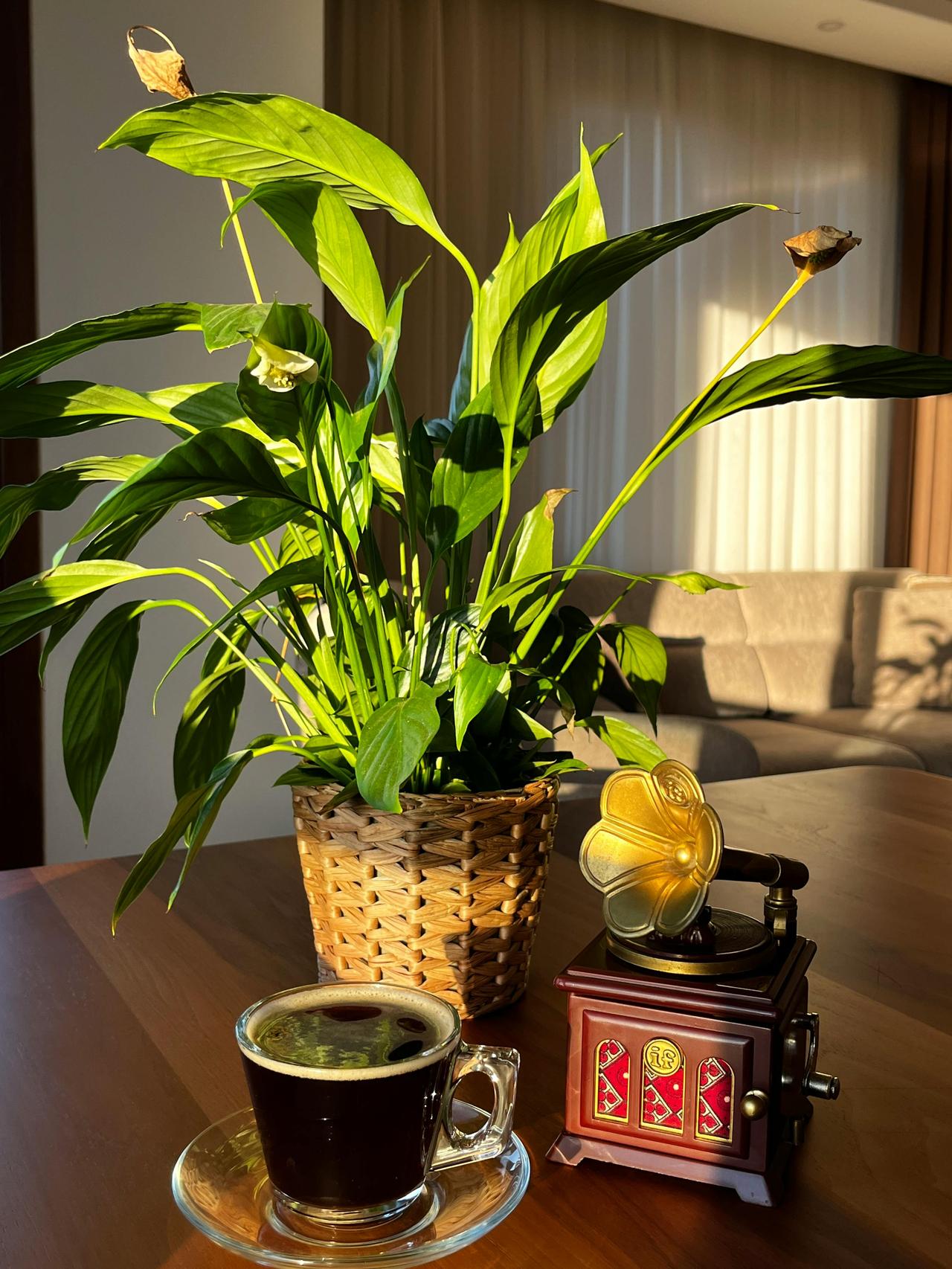 你听过最甜的承诺是什么？有人说是“我养你”“包在我身上”，可当生活真的塌了半