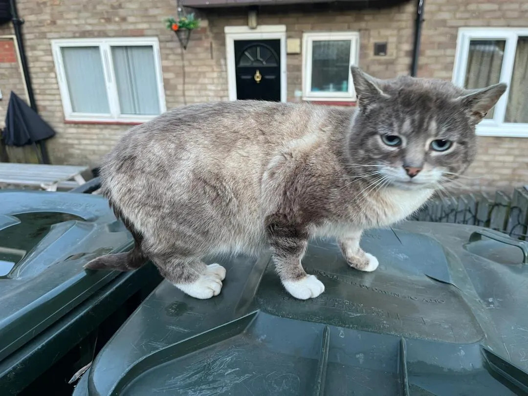 这是什么颜色？