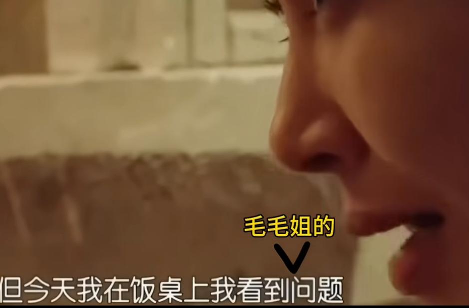 《花少2》鸿门宴饭局，至今没有超越的画面。饭桌上，毛阿敏与宁静、陈意涵聊得火热