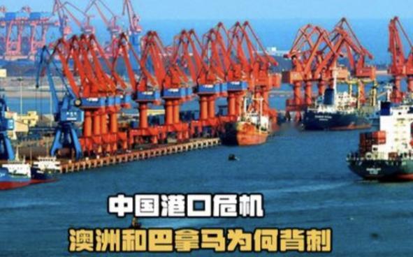 俄罗斯专家现在提出这样一个想法，现在澳大利亚跟巴拿马都要收回中国的港口，中国也可