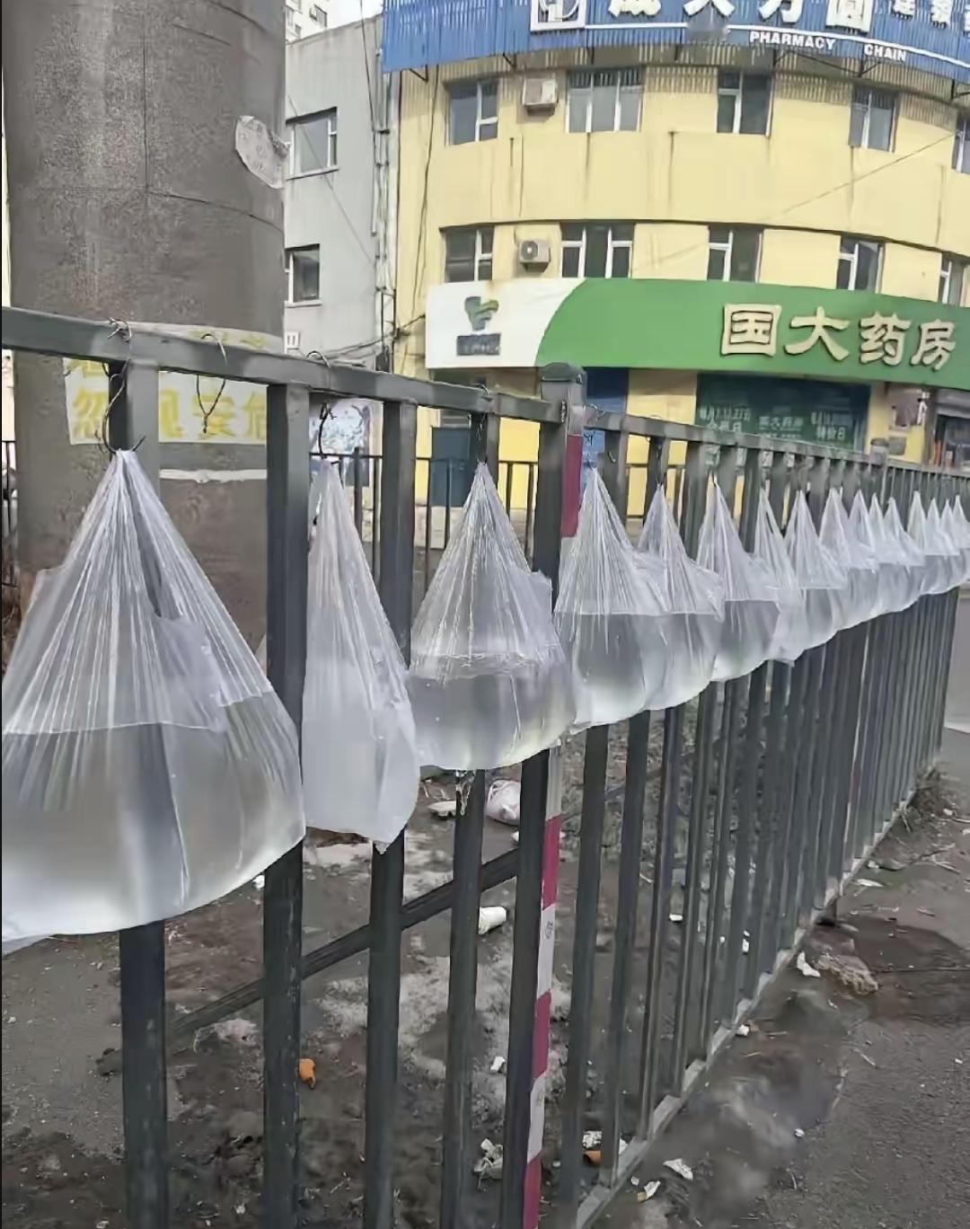 吉林这冬天太邪乎，零下三十多度，护栏上全是一串串冰袋，像挂腊肠似的。不是谁恶搞，