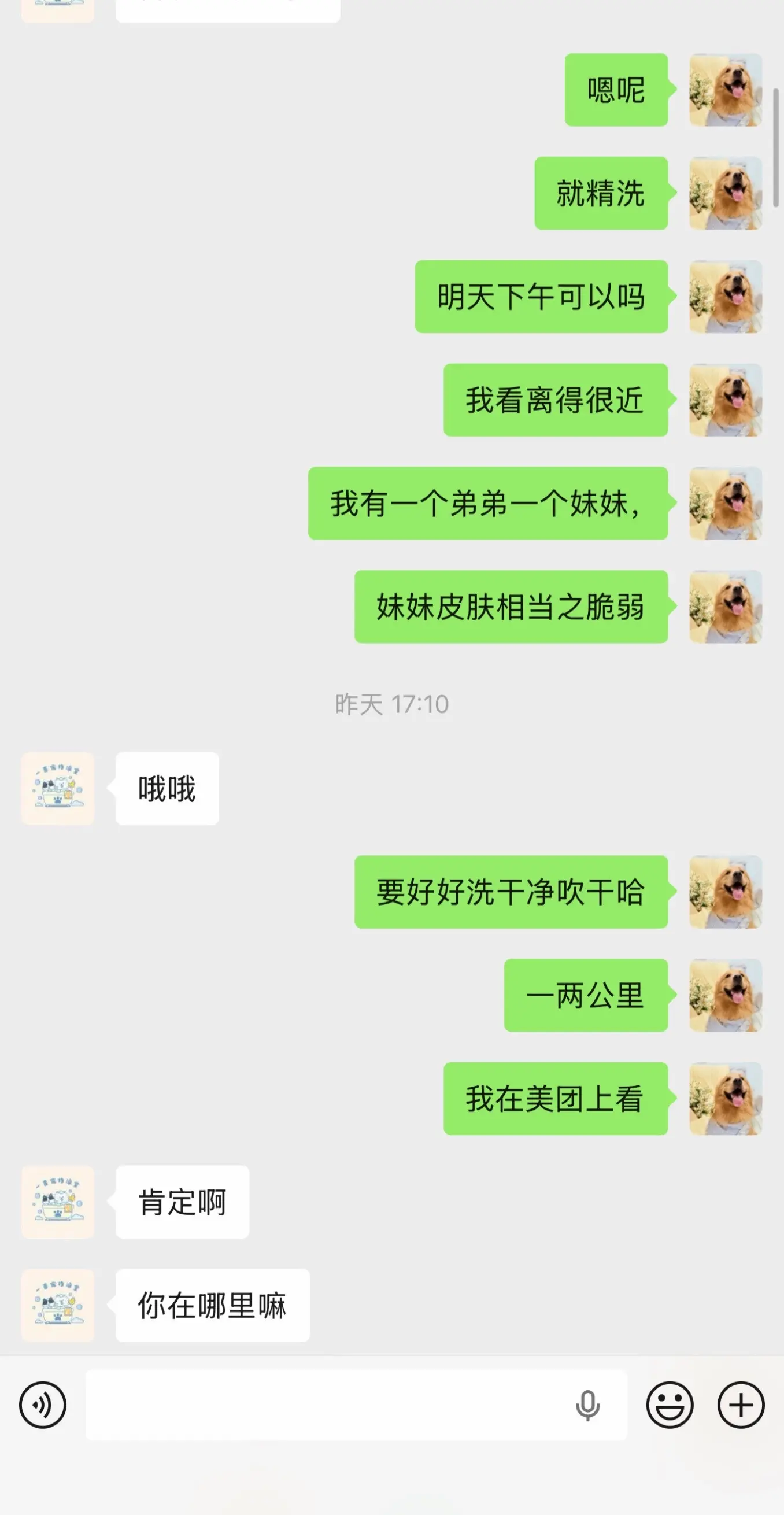 避雷，狠狠的避雷，从来没有这么生气过，送去洗澡前叮嘱了吹干，真就说一只...