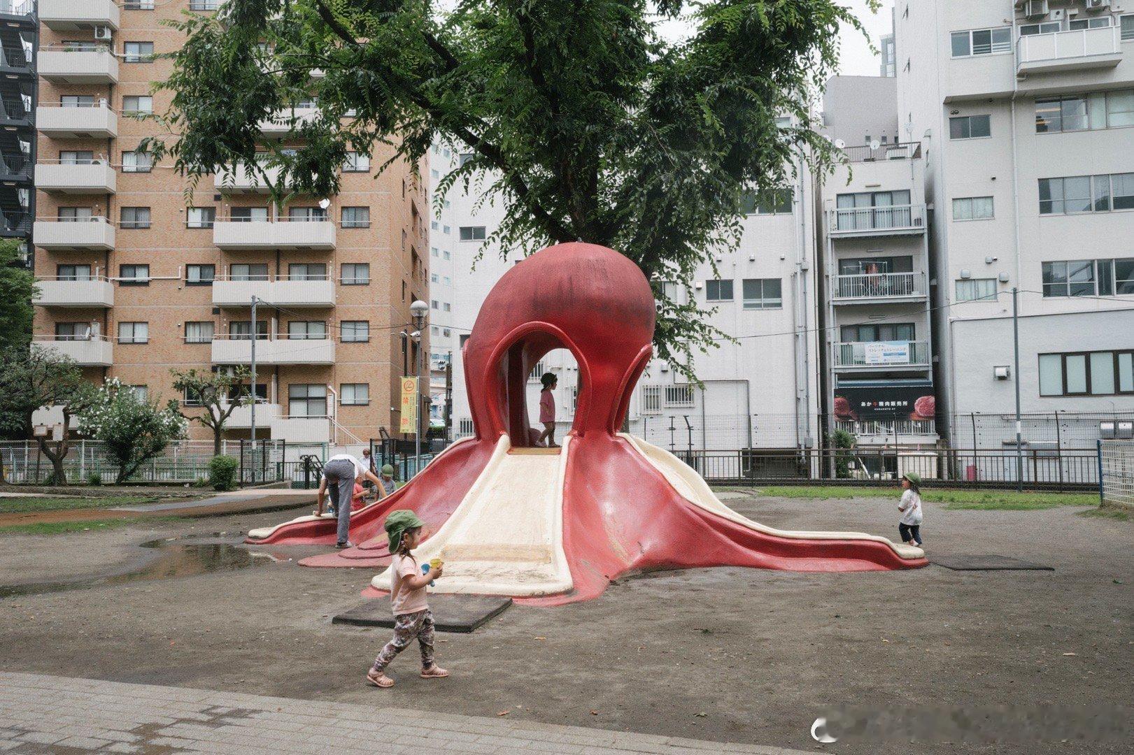 📷✨🐙摄影