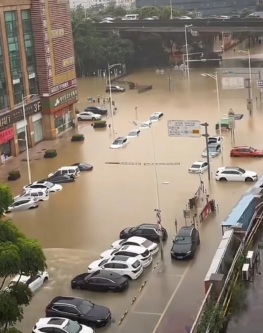 深圳牛马天塌了，牛起来上班了，马被暴雨泡了，深圳暴雨让牛马猝不及防