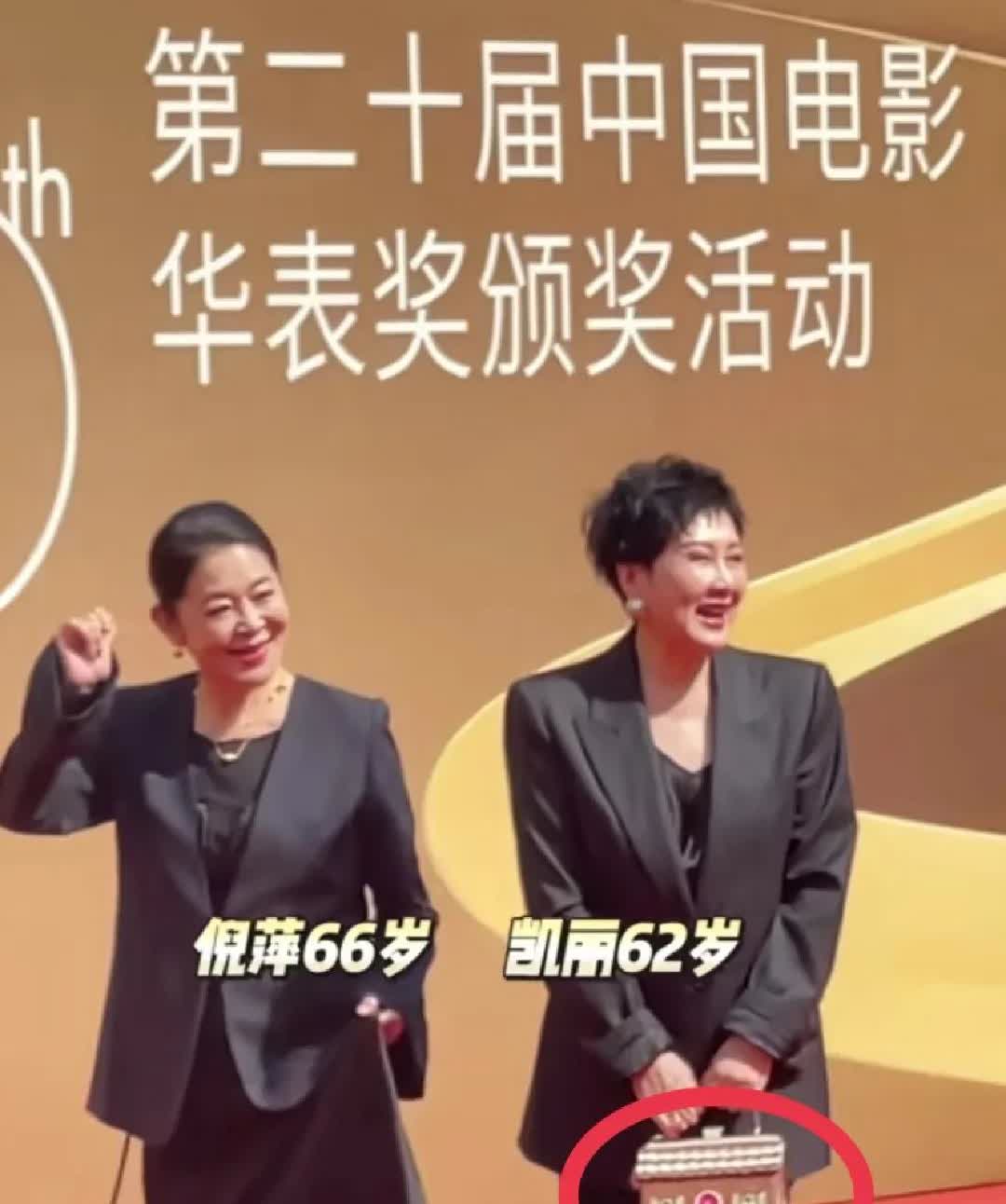 妈耶！吓死我了！张凯丽亮相华表奖颁奖礼她提的包，有没有像俺们这里
