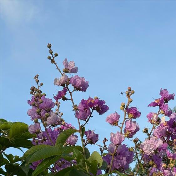 西国王费利佩六世在北京这样说 11月13日，费利佩六世在北京这样说： 中