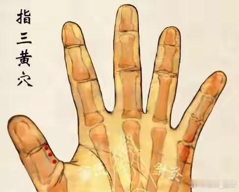 指三黄穴—治疗肝胆疾病和妇科疾病一、穴位定位与取穴方法指三黄穴位于手掌面大拇指第