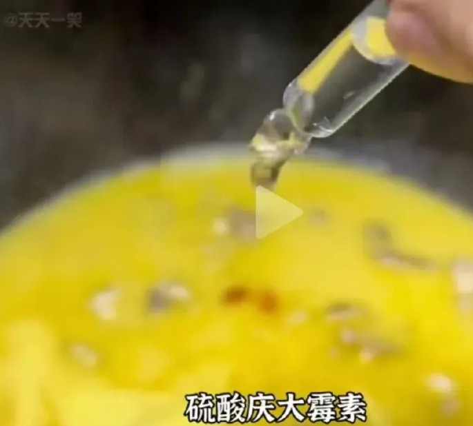 两毛钱一支的硫酸庆大霉素搞里头，香浓鸡汤汁搞里头，冷冻花椒搞里头，浓缩鸡汤膏搞里
