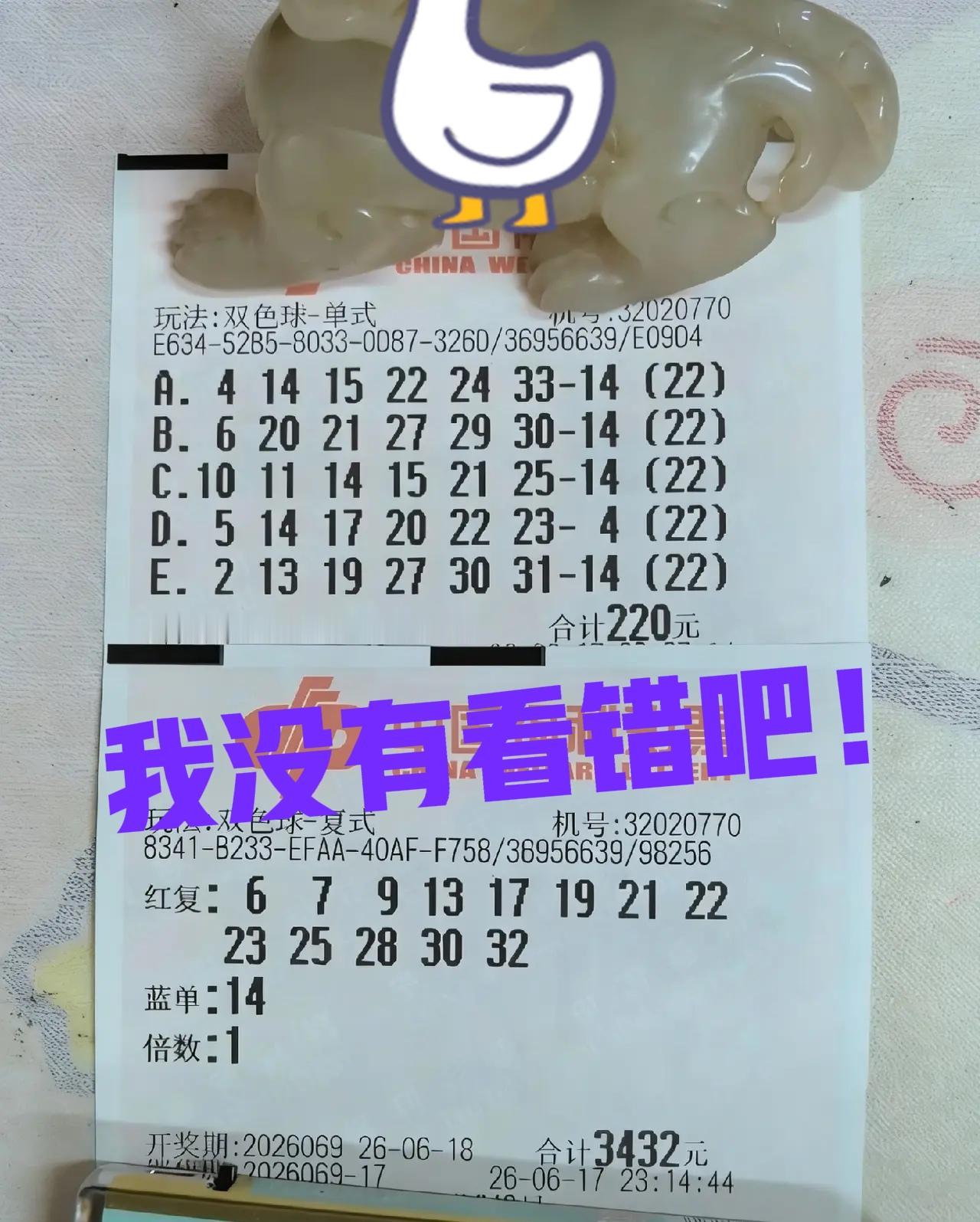 太有趣了！估计大佬最初的想法是全部打14，但是其中有一注，蓝区居然是04，可能出