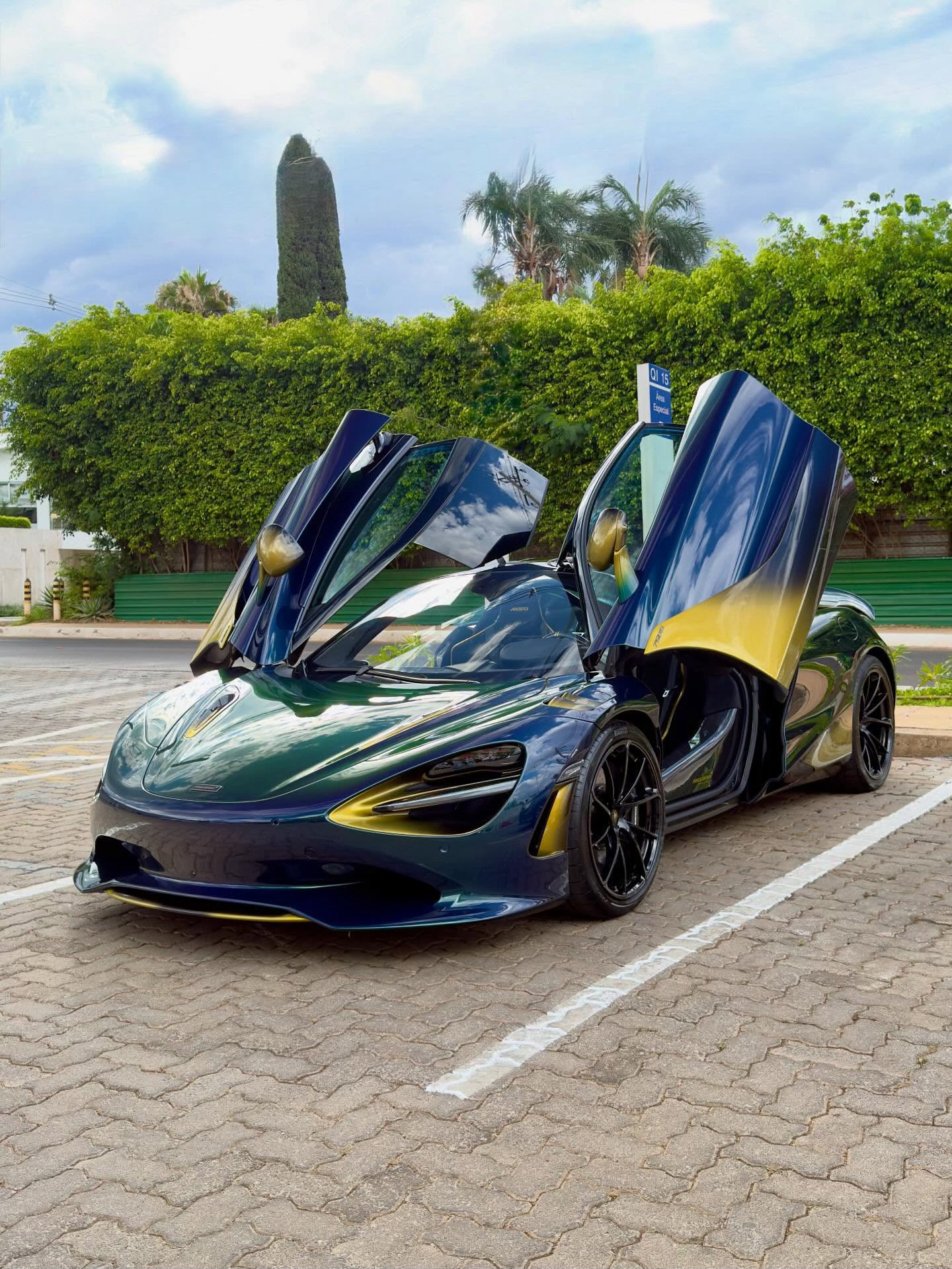 这台在巴西和世界上独一无二的750S，多亏了车主亲自定制的配置。迈凯伦拥有一款非