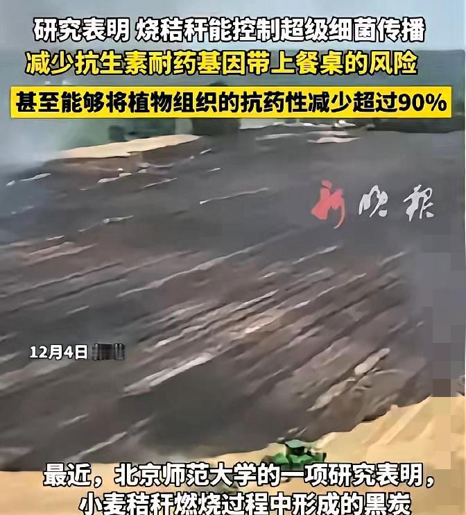 谁能想到！被禁了十年的烧秸秆，居然被北师大的研究正名了？过去农民愁坏了，秸