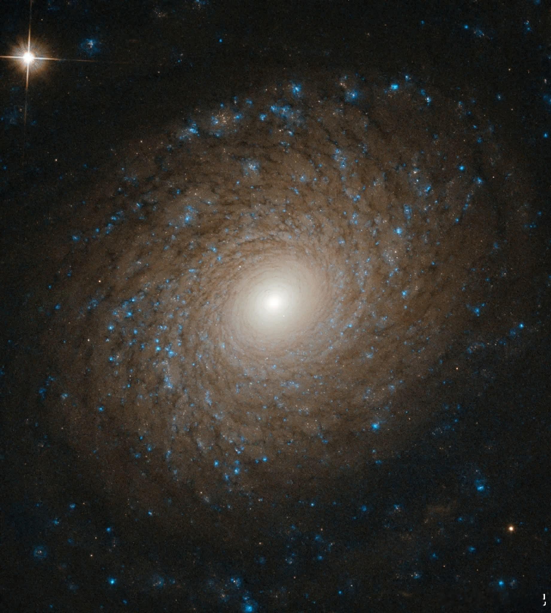 宇宙是一个奇迹的画廊，星系在无尽的多样性中旋转——从雄伟的螺旋星系和优雅的椭圆星