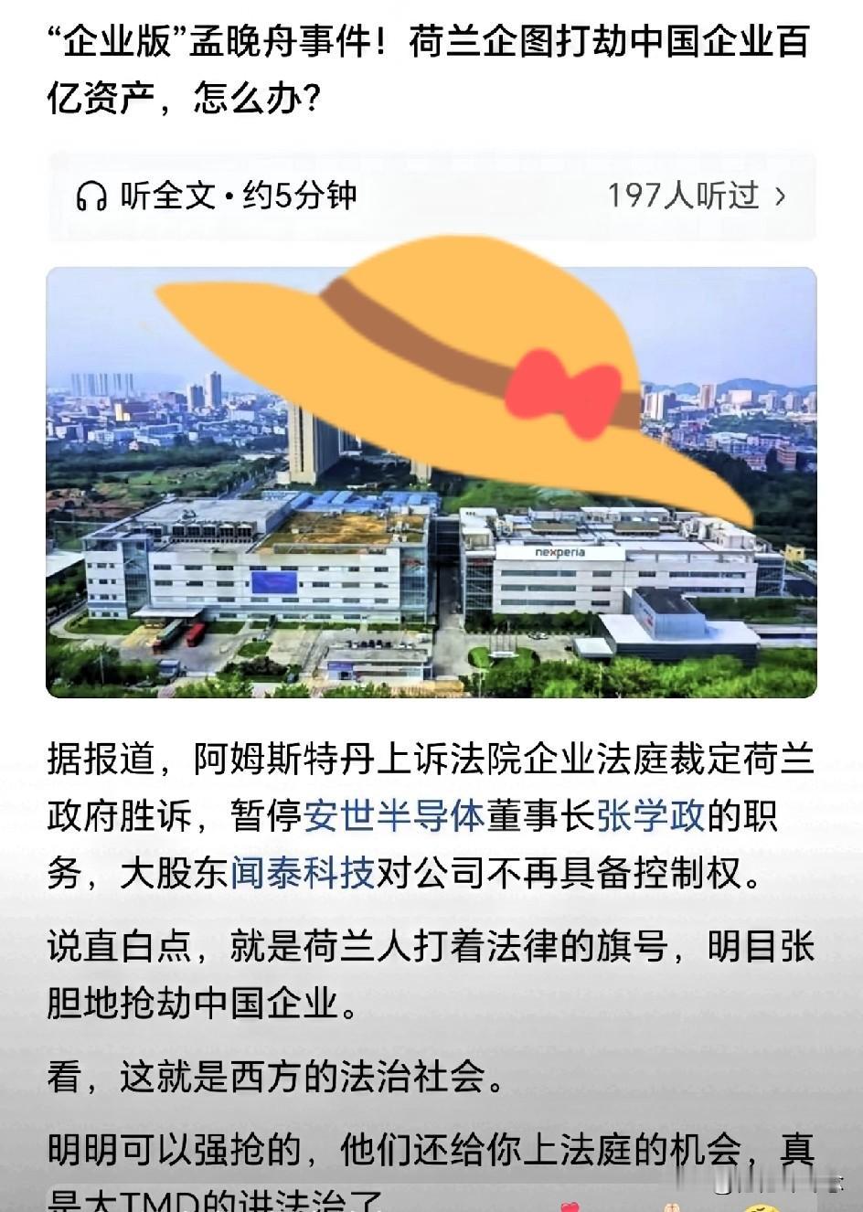 安世半导体事件是一个血的教训，安世半导体的外籍高管在关键时刻背弃了安世半导体，这