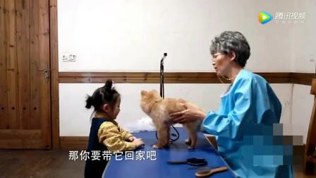 小大人