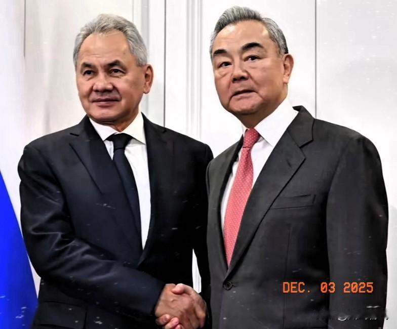 这一次日本沉默了！金灿荣教授说：“绍伊古也说到了要砍掉军国主义脑袋的一些话了