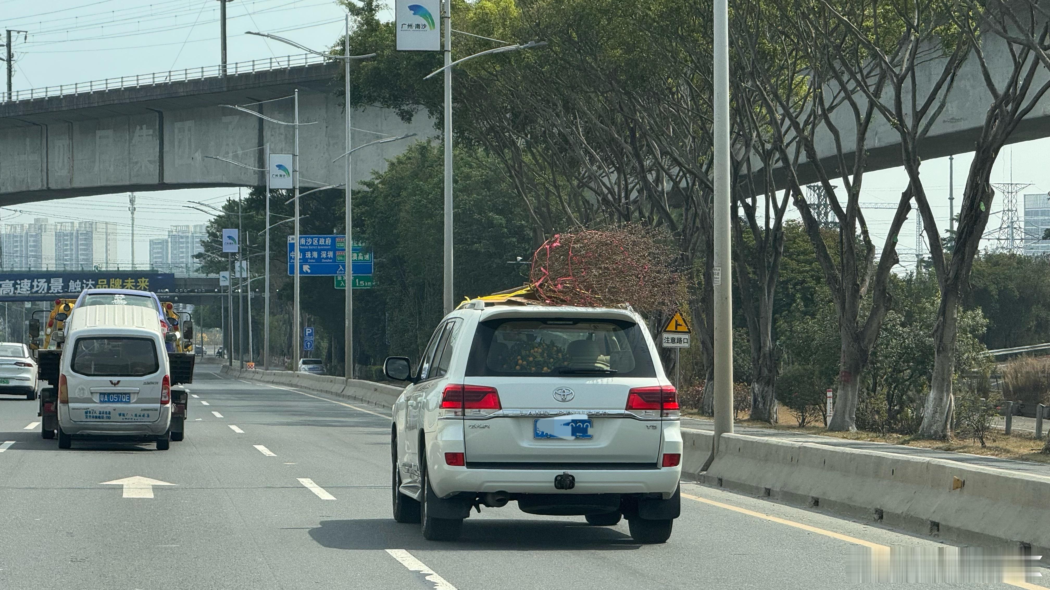 每年广东人都会想尽办法…运桔