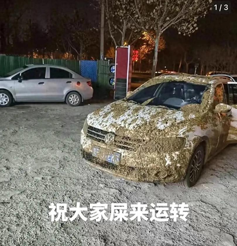 谁能想到，下班晚上开车回家，居然还能碰上“天降粪水”这种糟心事。12月14