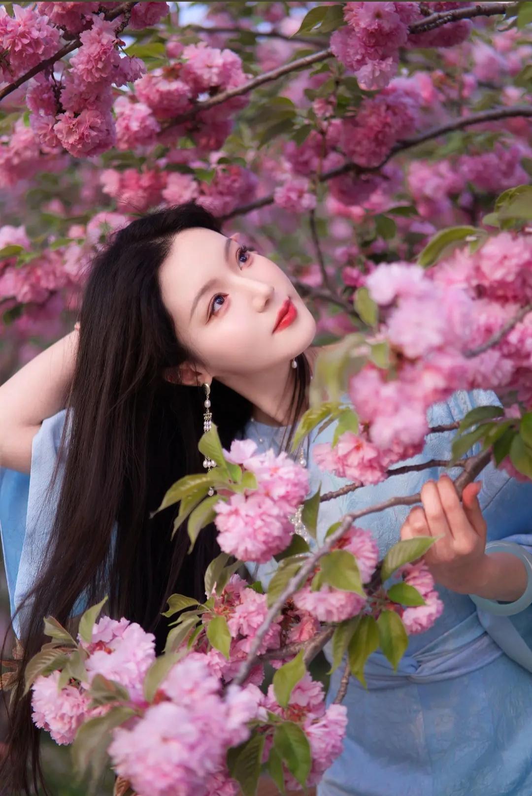 樱花树下，仙气飘飘的少女