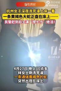 4月28日报道，浙江杭州一女子沐浴完毕正准备休息就寝，转身竟赫然发现床上盘踞一条