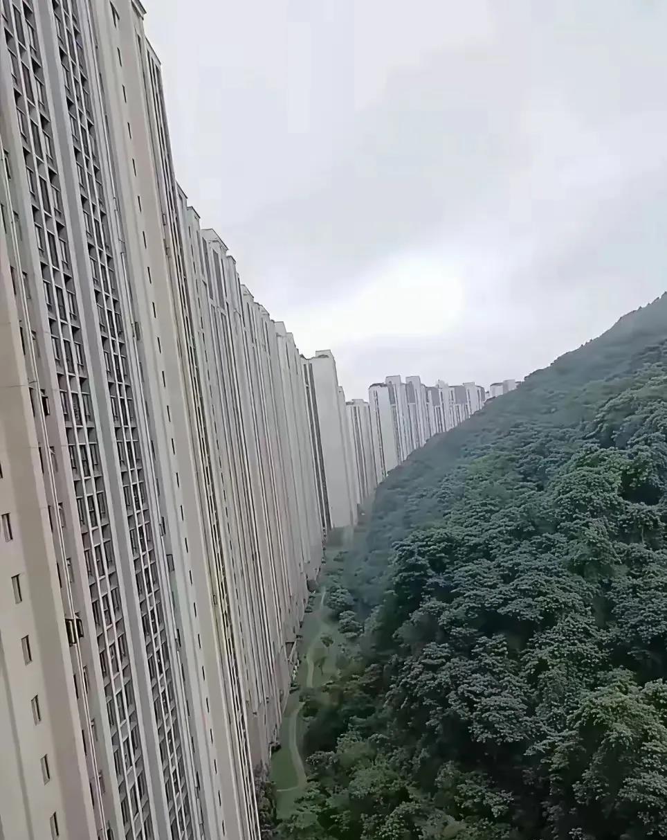 全球第一楼盘，你猜一猜这是哪？