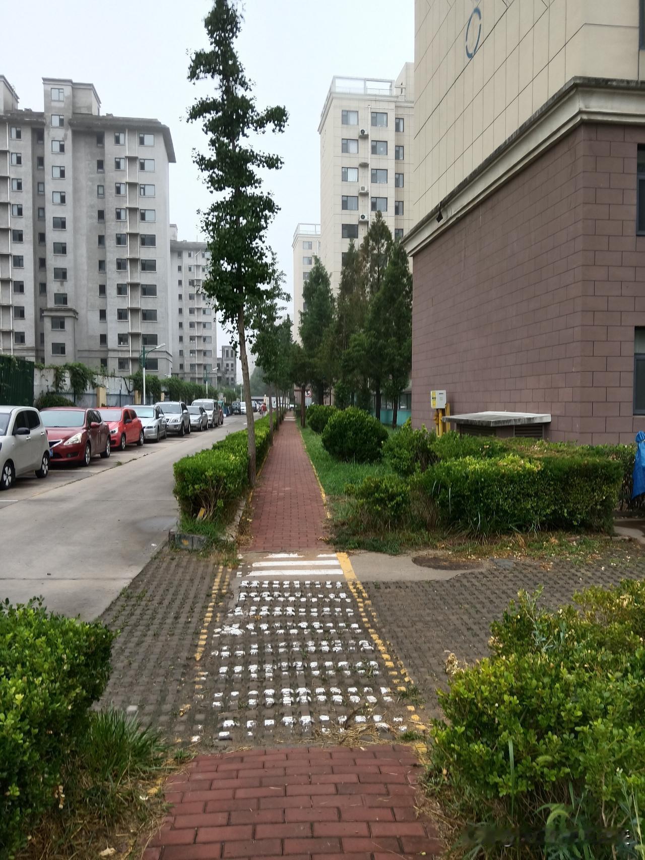 12生肖女会嫁什么男人猪女:嫁(老)、不嫁(小)狗女:嫁(小)、不嫁(大