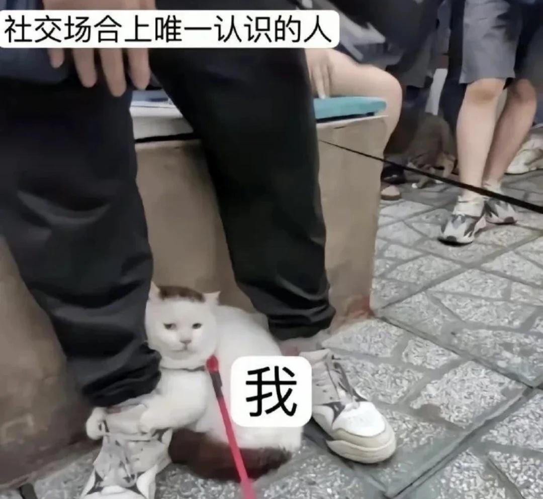 meme梗图meme此图有梗每日一meme梗图不用担心作者的精神状态