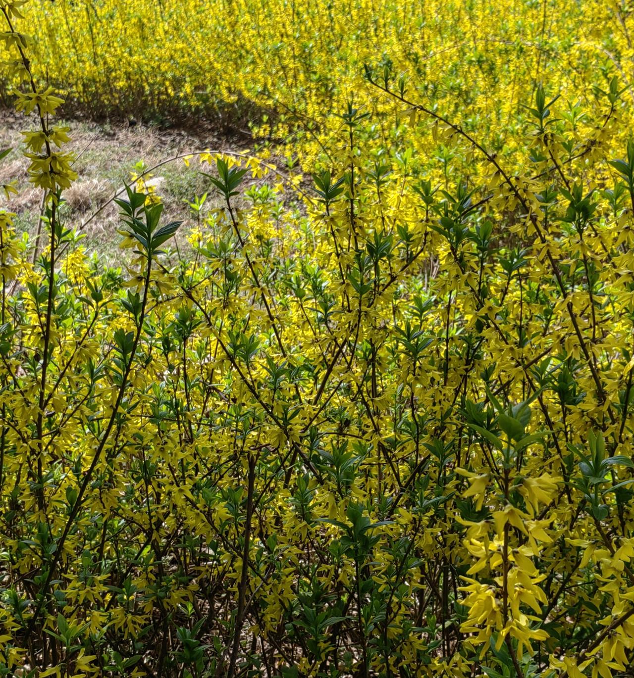 北宋本质上不是亡于“兵不知将，将不知兵”，而是亡于递代过程中智力、能力渐退。历