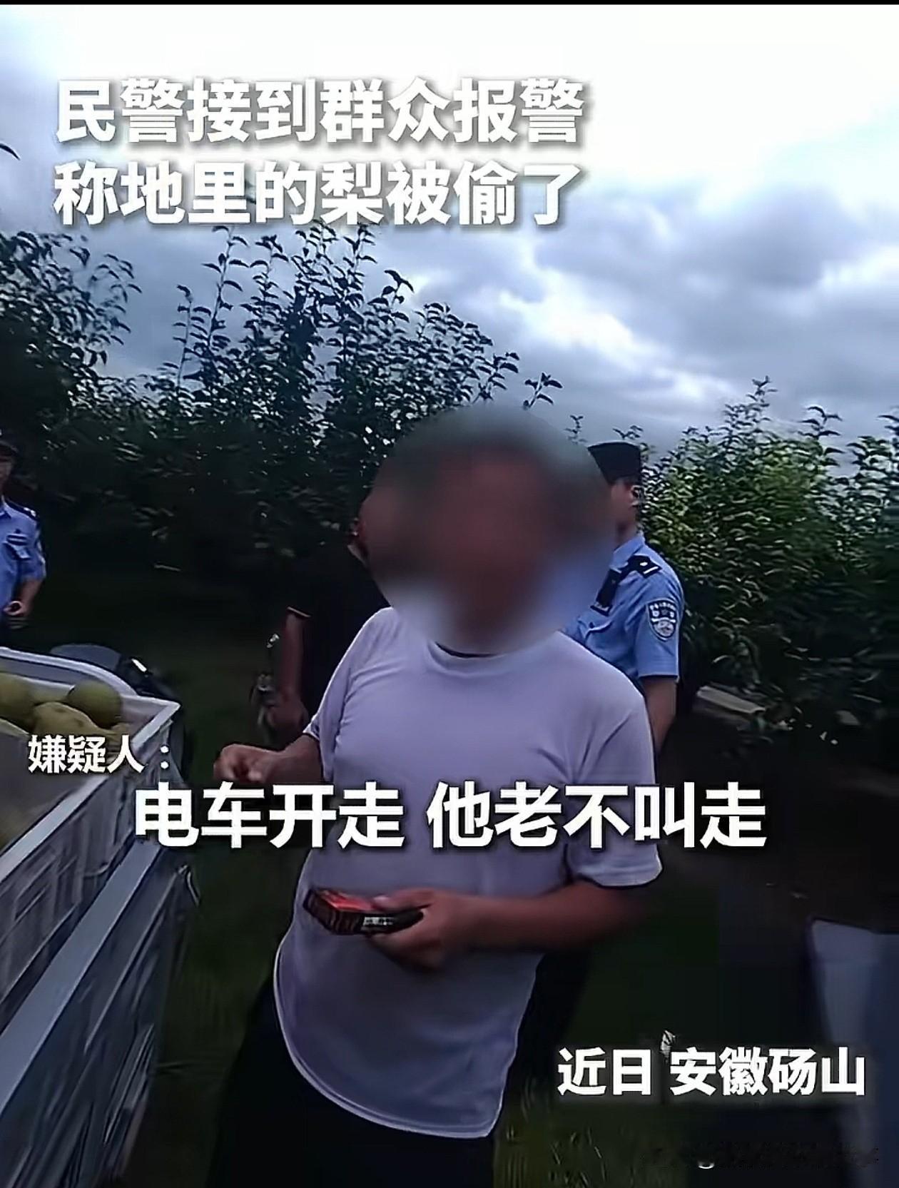 游客摘梨，被主家堵在地里，游客委屈，摘几个梨咋还不让走了。刚开始我也觉得有点小