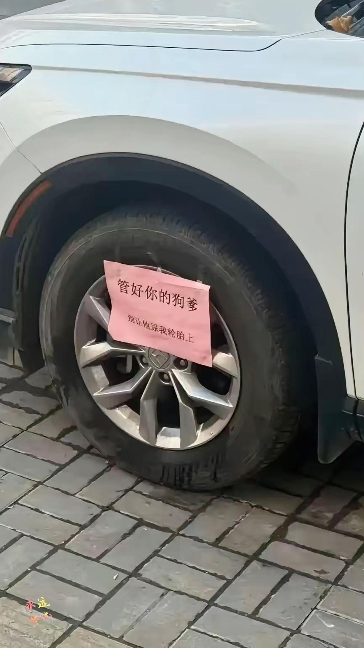 这事儿真不能怪车主，我反倒觉得车主已经特别有素质、够克制了，该反思的明明是狗主人