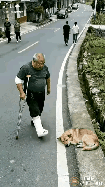 真的让人又生气又无语，一位老人拄着拐杖在路边散步，旁边一只小狗安安静静趴在地上睡