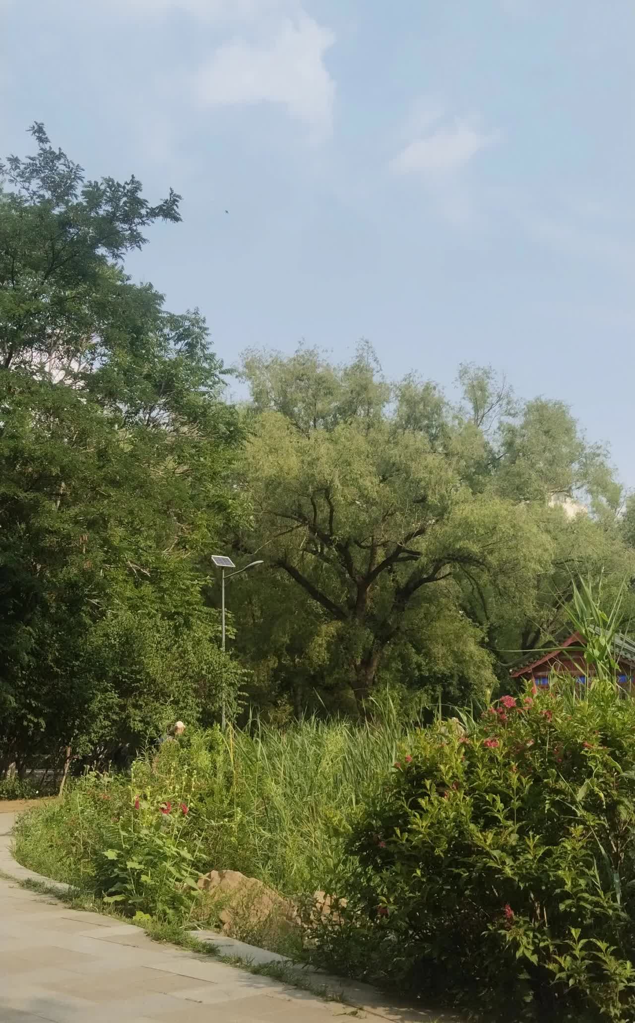 我姐姐两口子退休金加起来能有八千多块钱，大事小事都不麻烦儿子，遇到困难自己能解决