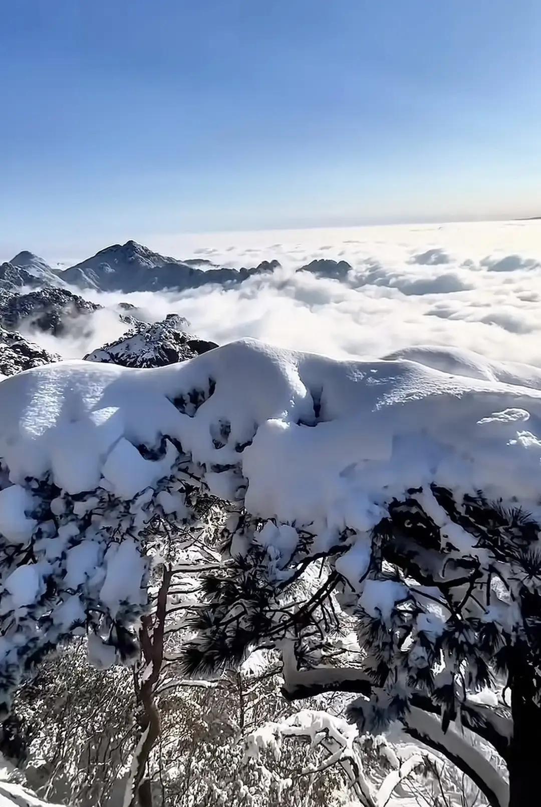 我攒够钱想年底带爸妈飞泰国，刚开口我妈就摇头，说飞机掉海里都没人捞。我掏出手机