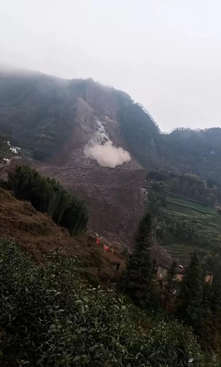 宜宾筠连山体滑坡，大石滚滚往下掉，很多建在山腰的房屋被吞噬，救援人员赶到的