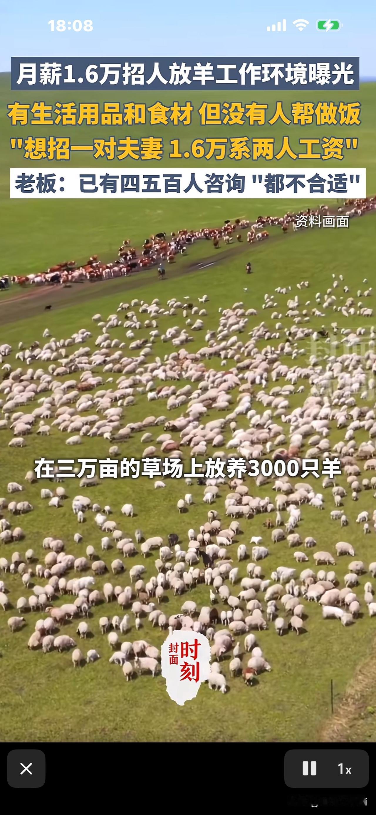 内蒙古公司招人放羊：（1.6万月薪，管3000只羊，一年挣20多万）。老板说