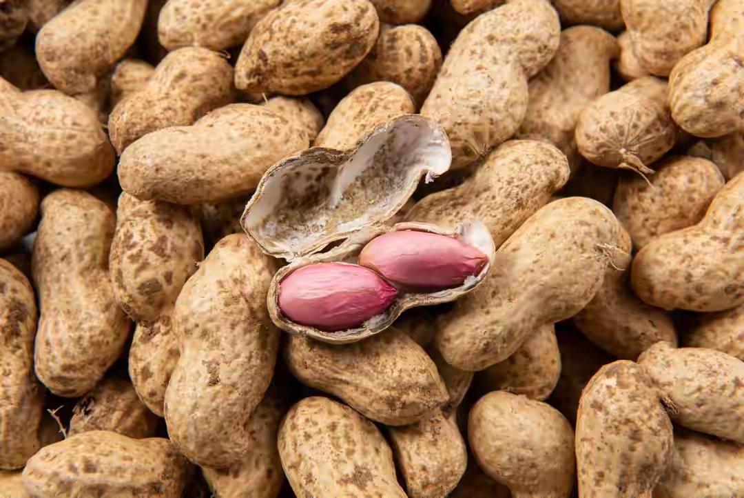 花生被关注！调查发现：糖尿病常吃花生，不出半年或有6个好处花生被关注！调查发