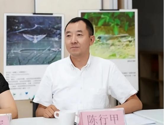 2011年，清华硕士陈行甲到巴东上任，意外发现：自己的“前任女县委书记”竟