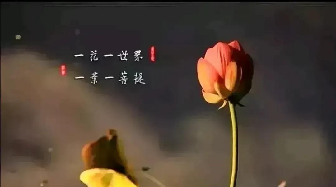 凡事发生，皆有利于我。允许一切的发生，允许自己走错路，允许自己看错人。所有发