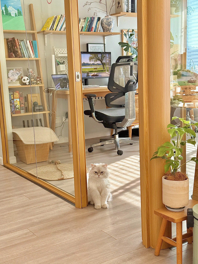 阳光是最好的软装…