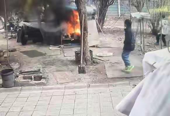 两男孩玩火点燃狗笼，狗被烧死，主人发声：萨摩耶养了7年感情很深，不接受私了，要求